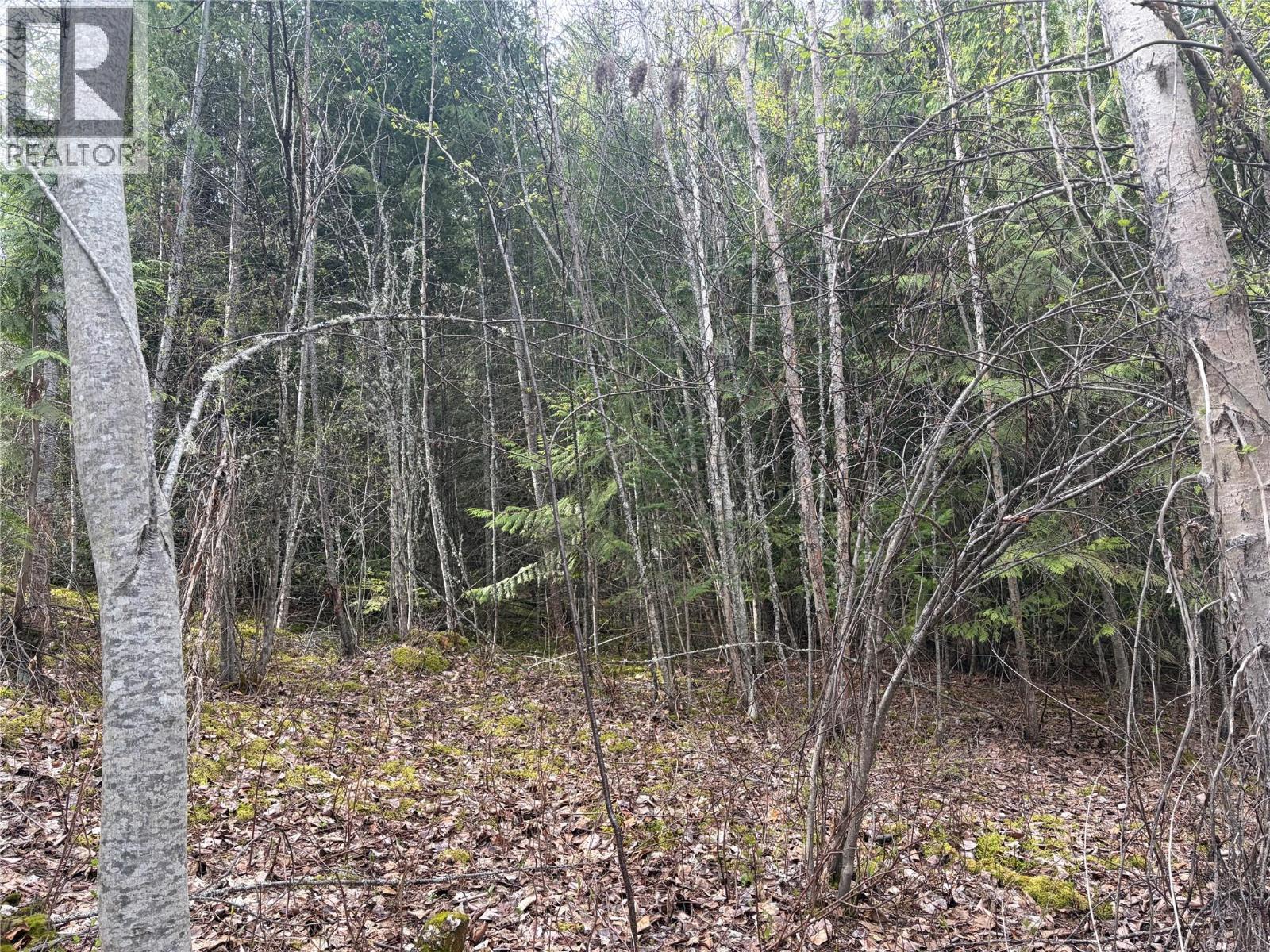 Lot 6 Mcbride Road, Blind Bay, British Columbia  V0E 1H1 - Photo 9 - 10383733