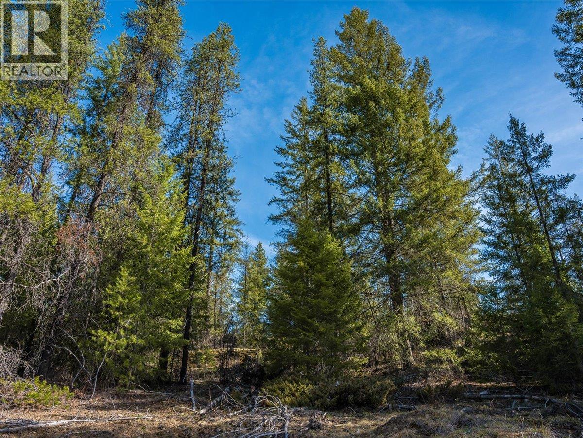 Lot 34 Pass Creek Road, Castlegar, British Columbia  V1N 4T1 - Photo 20 - 10383578