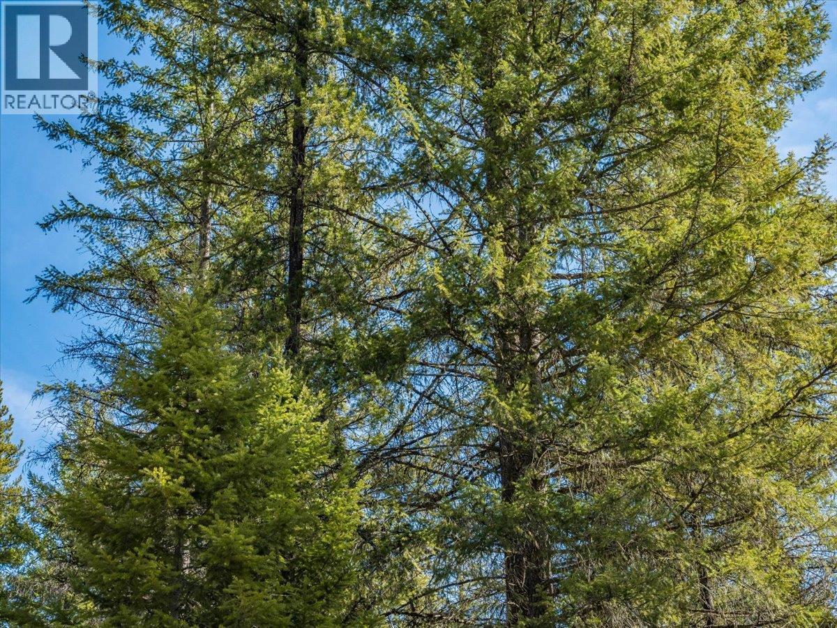 Lot 34 Pass Creek Road, Castlegar, British Columbia  V1N 4T1 - Photo 21 - 10383578