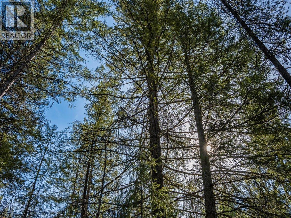 Lot 34 Pass Creek Road, Castlegar, British Columbia  V1N 4T1 - Photo 24 - 10383578