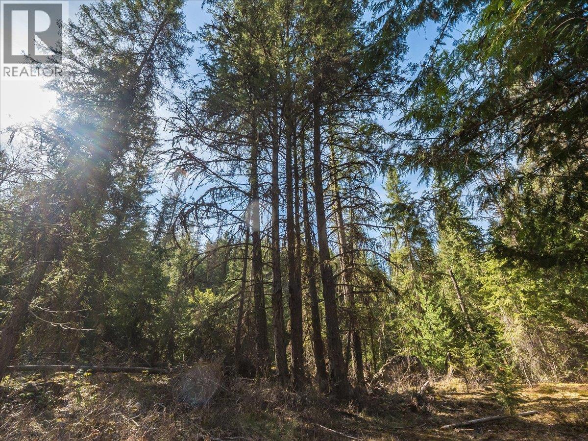 Lot 34 Pass Creek Road, Castlegar, British Columbia  V1N 4T1 - Photo 25 - 10383578