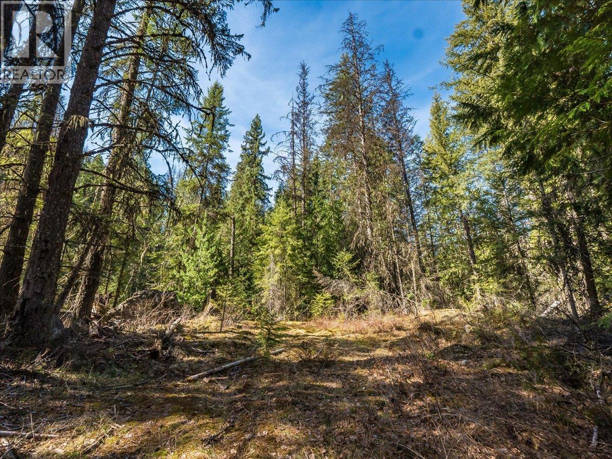 Lot 34 Pass Creek Road, Castlegar, British Columbia  V1N 4T1 - Photo 27 - 10383578