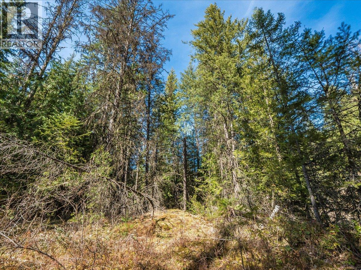 Lot 34 Pass Creek Road, Castlegar, British Columbia  V1N 4T1 - Photo 28 - 10383578