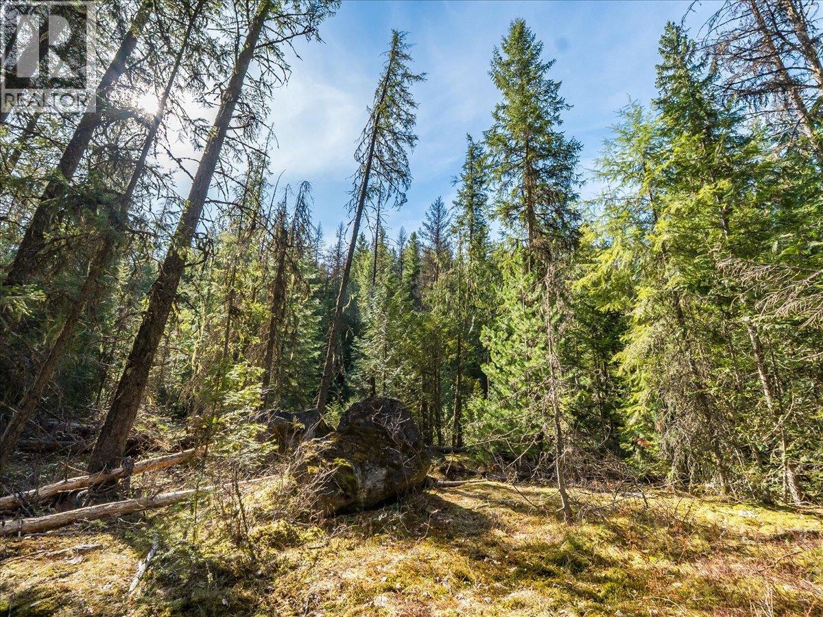 Lot 34 Pass Creek Road, Castlegar, British Columbia  V1N 4T1 - Photo 29 - 10383578