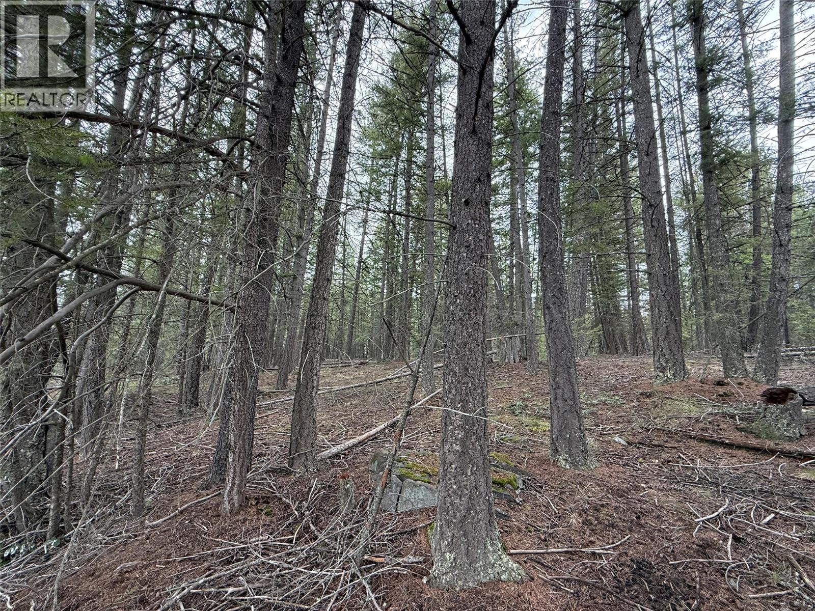 Lot 34 Pass Creek Road, Castlegar, British Columbia  V1N 4T1 - Photo 32 - 10383578