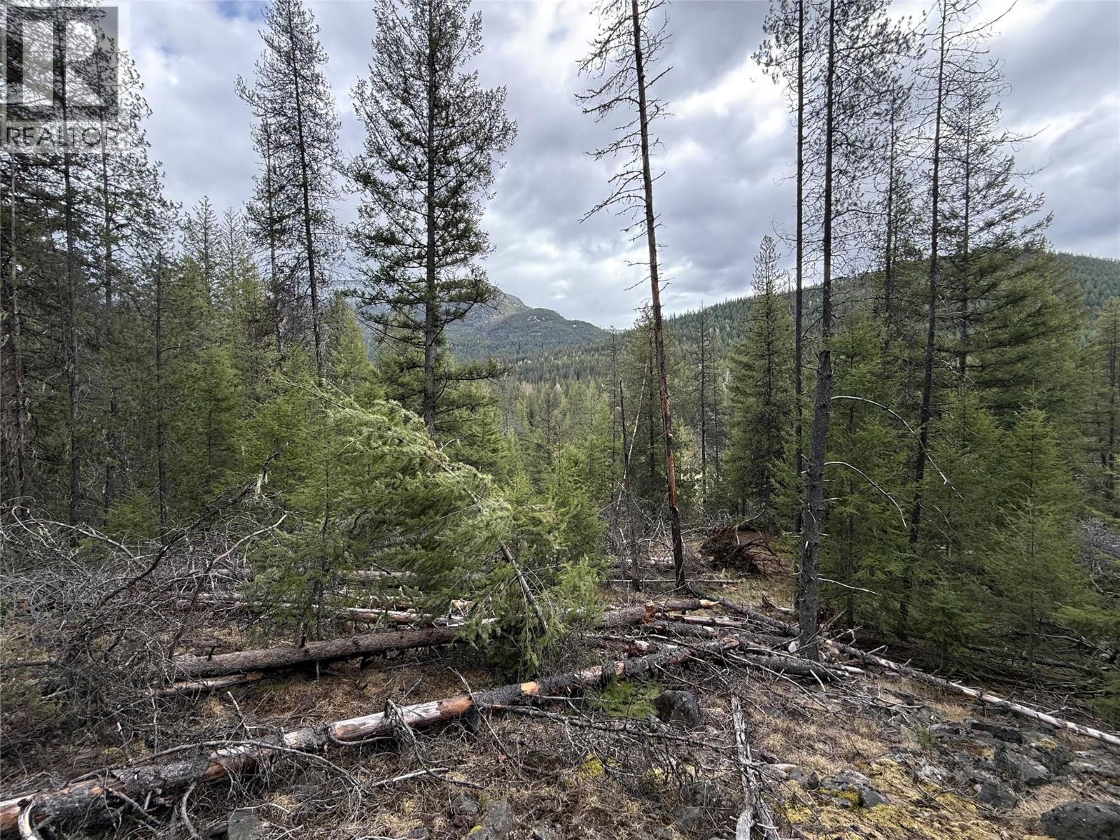 Lot 34 Pass Creek Road, Castlegar, British Columbia  V1N 4T1 - Photo 33 - 10383578