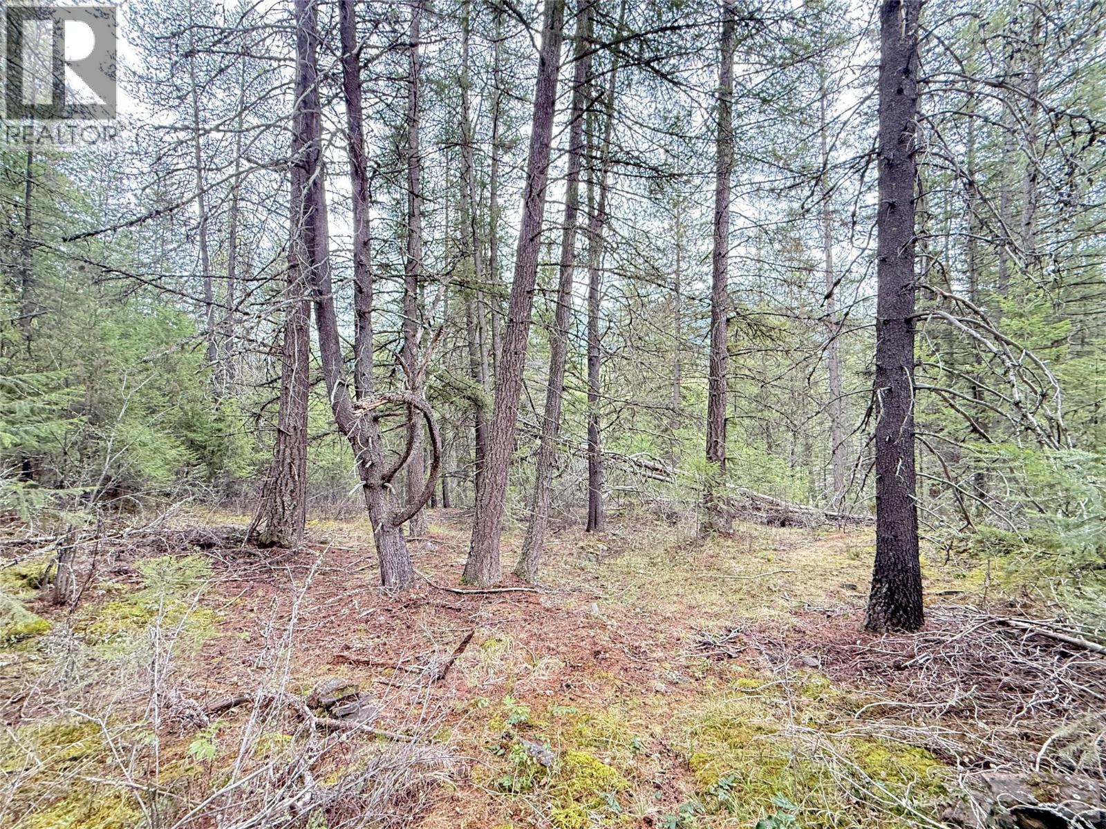 Lot 34 Pass Creek Road, Castlegar, British Columbia  V1N 4T1 - Photo 34 - 10383578