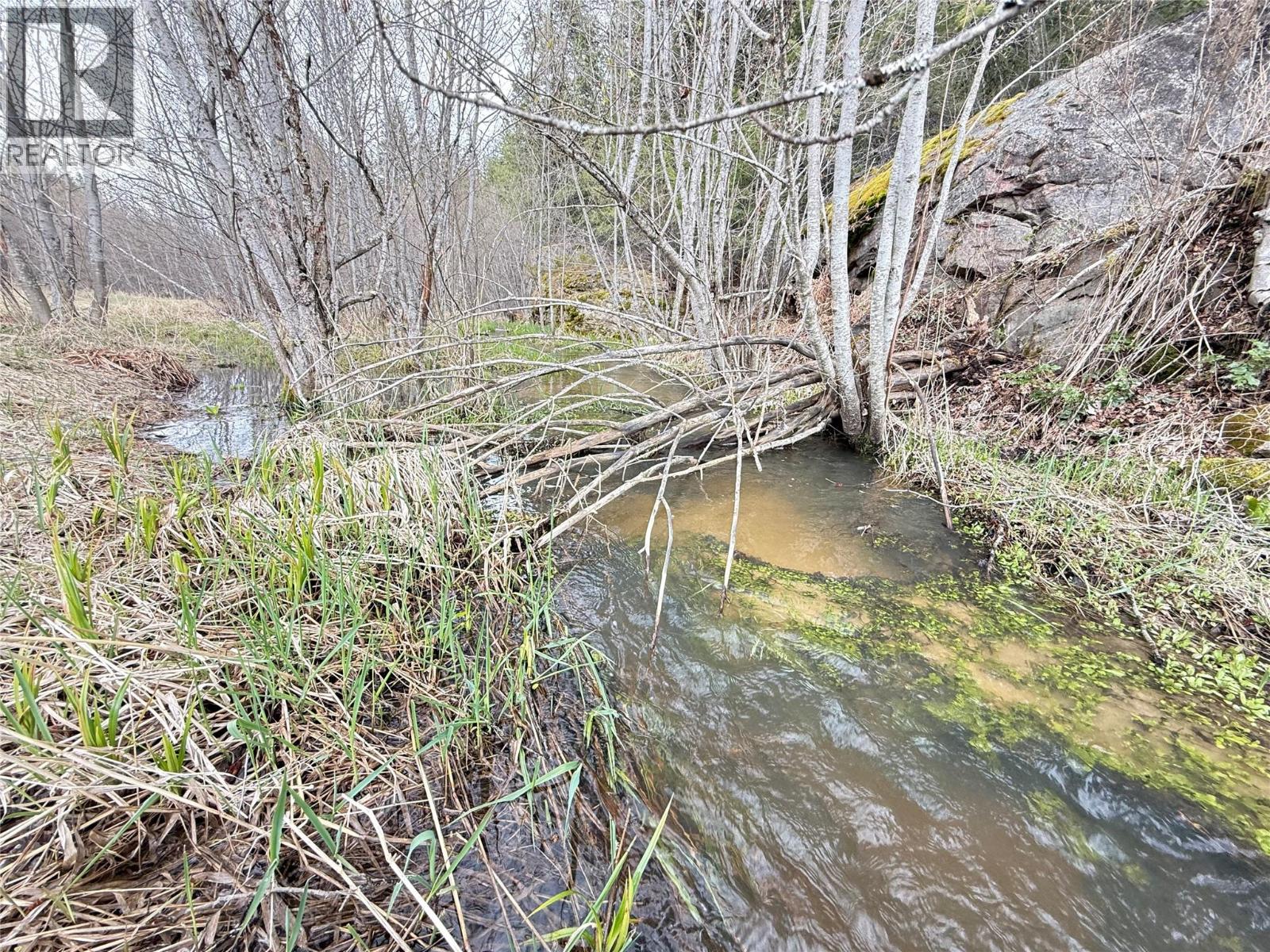 Lot 34 Pass Creek Road, Castlegar, British Columbia  V1N 4T1 - Photo 37 - 10383578
