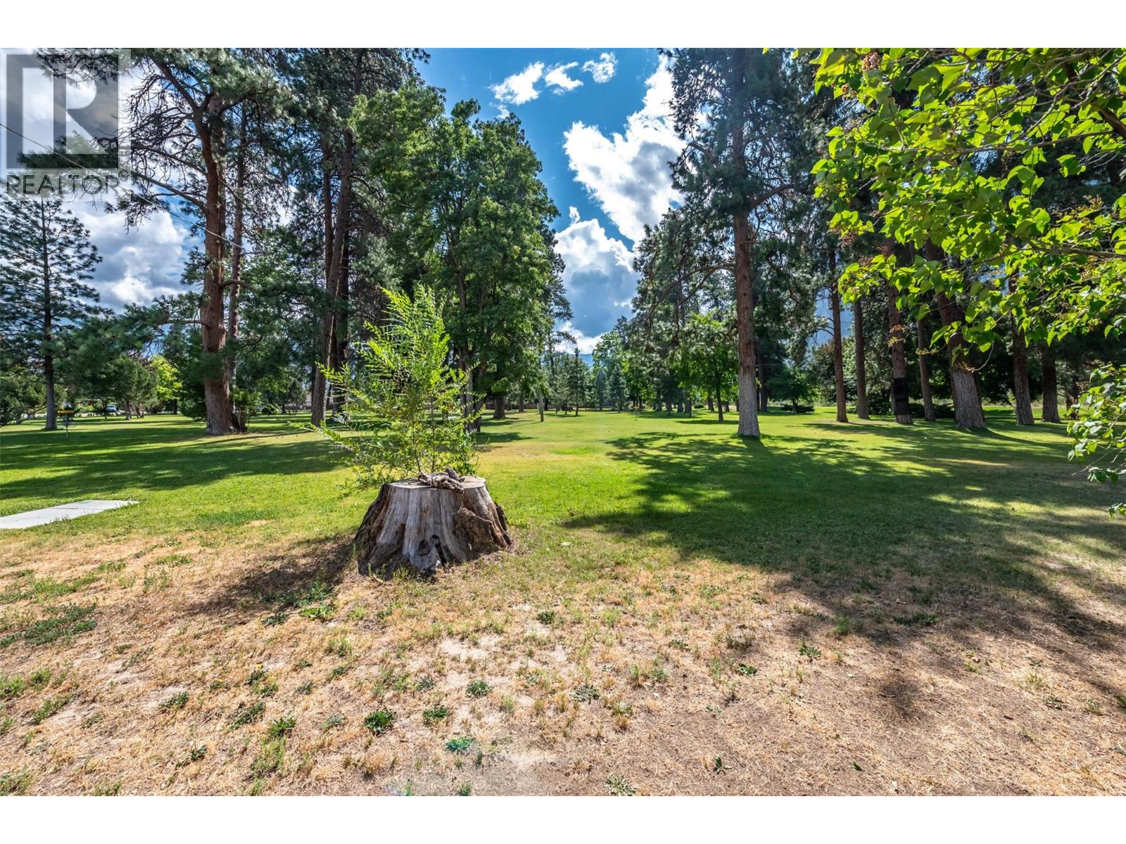 1230 Sykes Crescent, Keremeos, British Columbia  V0X 1N3 - Photo 22 - 10383568