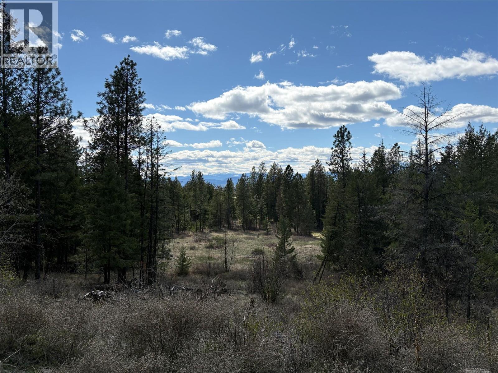 100 Bullmoose Court, Osoyoos, British Columbia  V0H 1V6 - Photo 3 - 10383633