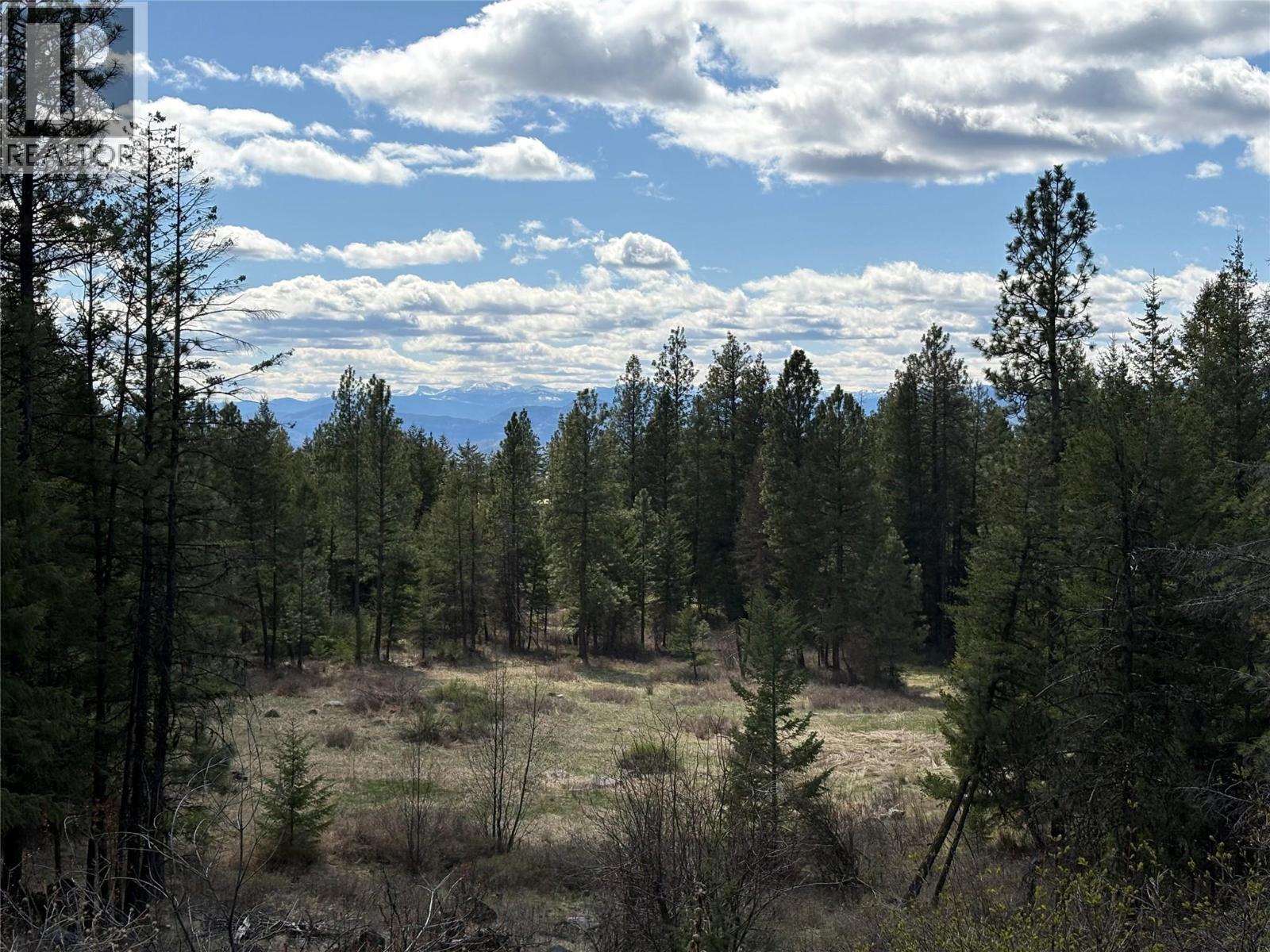 100 Bullmoose Court, Osoyoos, British Columbia  V0H 1V6 - Photo 4 - 10383633