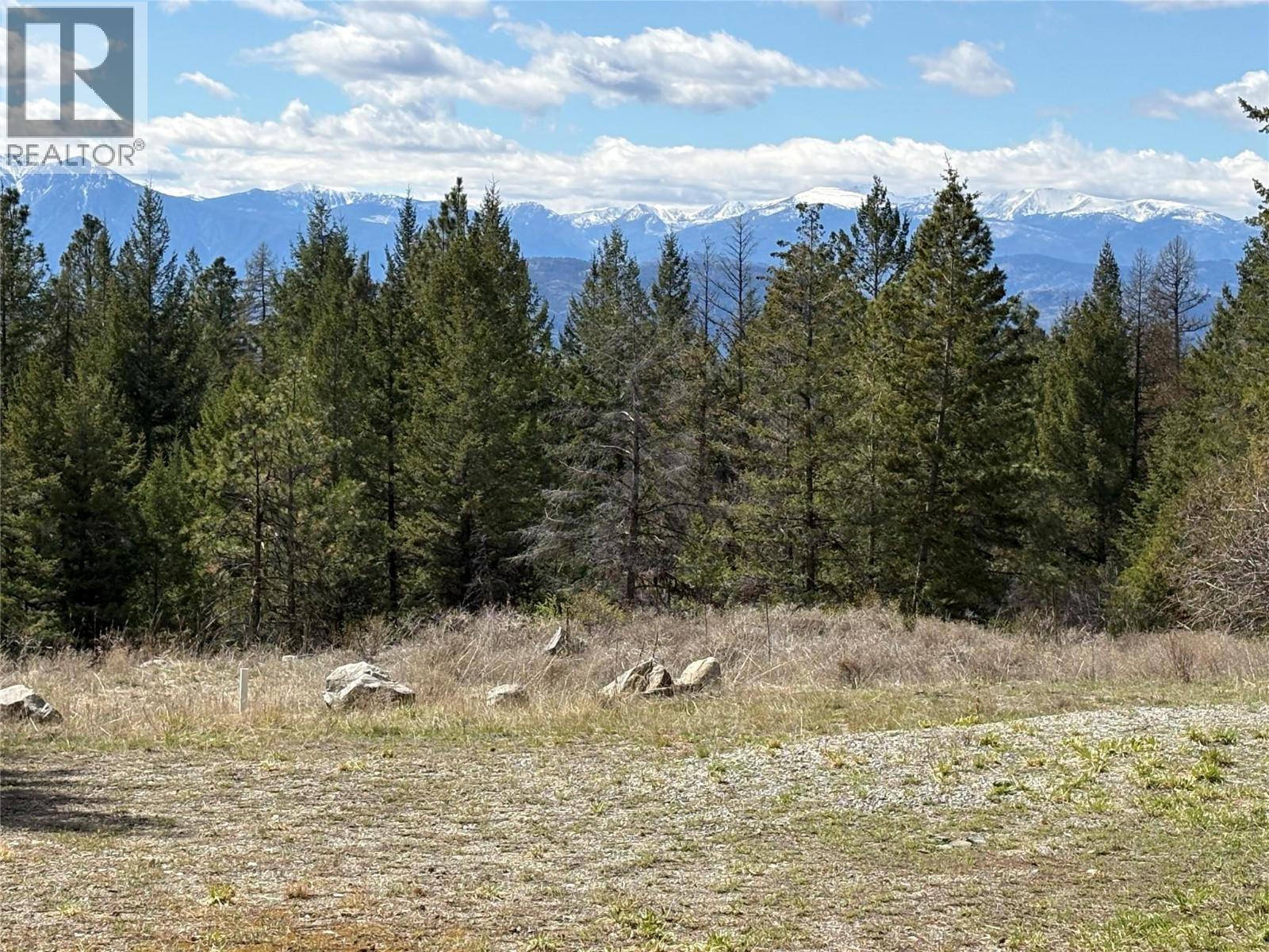 100 Bullmoose Court, Osoyoos, British Columbia  V0H 1V6 - Photo 6 - 10383633