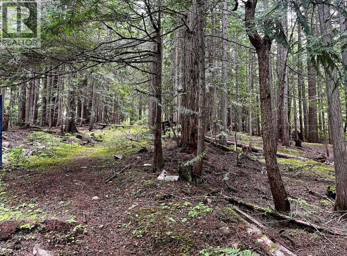 Lot 2 Red Mountain Road, Silverton, British Columbia  V0G 1S0 - Photo 11 - 10383407