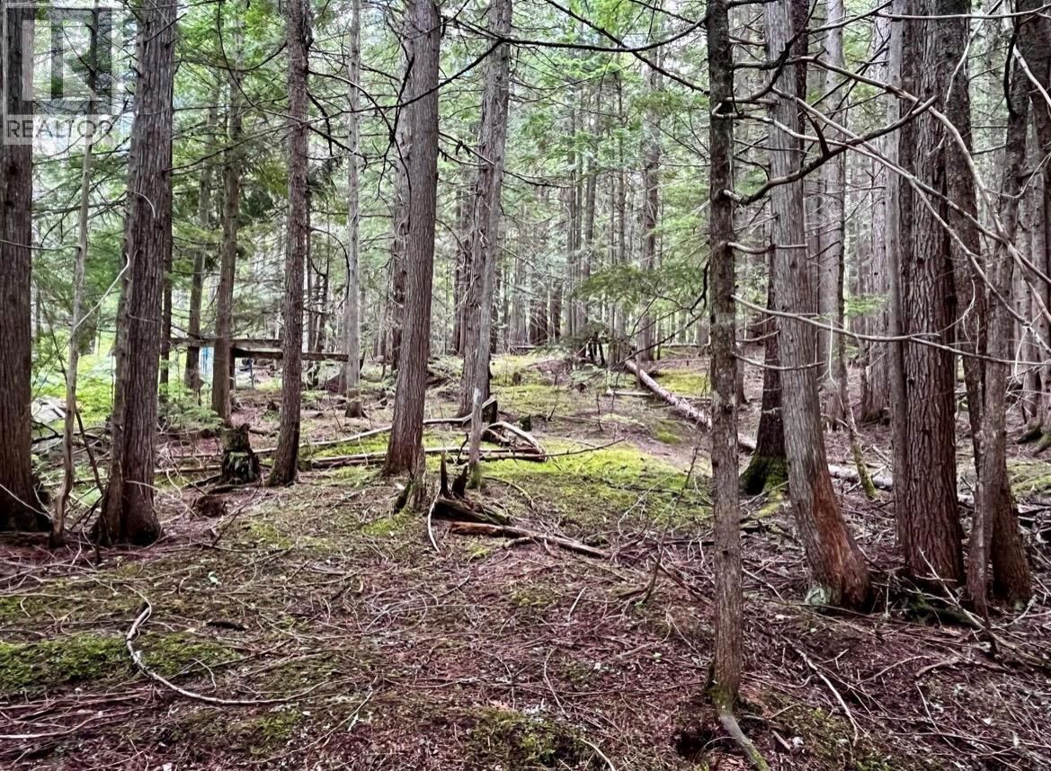 Lot 2 Red Mountain Road, Silverton, British Columbia  V0G 1S0 - Photo 12 - 10383407