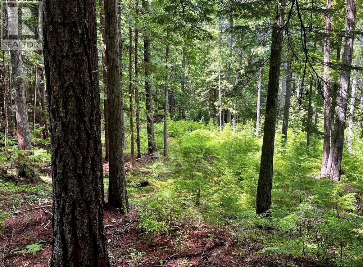 Lot 2 Red Mountain Road, Silverton, British Columbia  V0G 1S0 - Photo 13 - 10383407