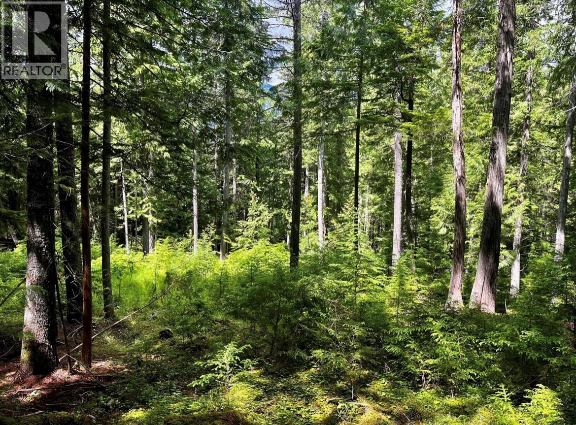 Lot 2 Red Mountain Road, Silverton, British Columbia  V0G 1S0 - Photo 14 - 10383407