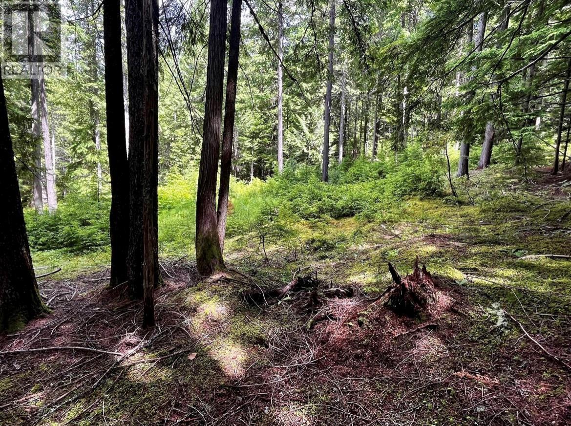 Lot 2 Red Mountain Road, Silverton, British Columbia  V0G 1S0 - Photo 15 - 10383407