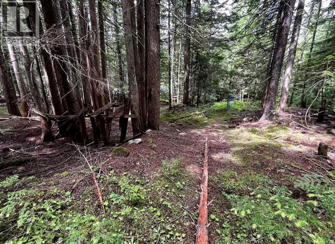 Lot 2 Red Mountain Road, Silverton, British Columbia  V0G 1S0 - Photo 16 - 10383407