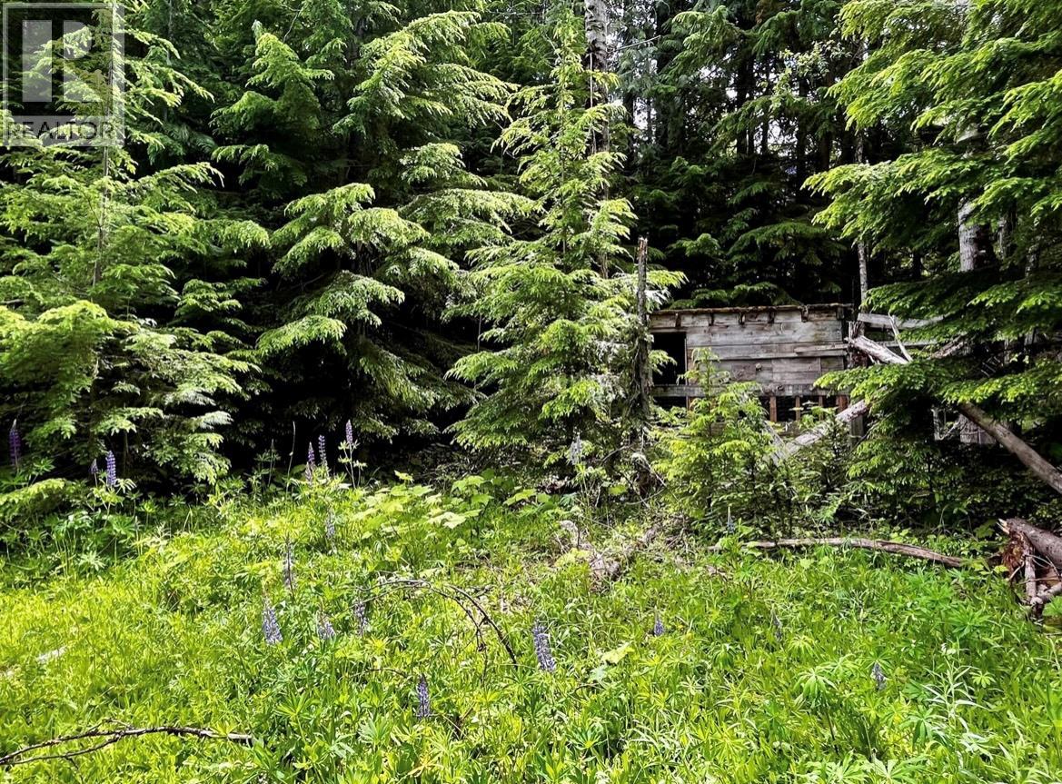 Lot 2 Red Mountain Road, Silverton, British Columbia  V0G 1S0 - Photo 17 - 10383407