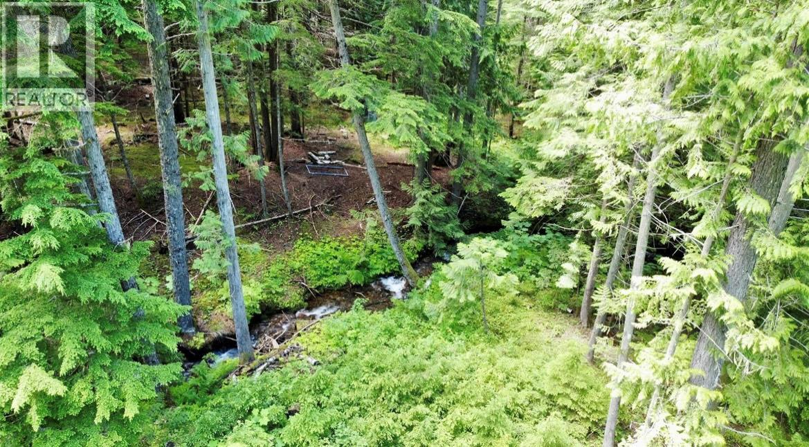 Lot 2 Red Mountain Road, Silverton, British Columbia  V0G 1S0 - Photo 19 - 10383407