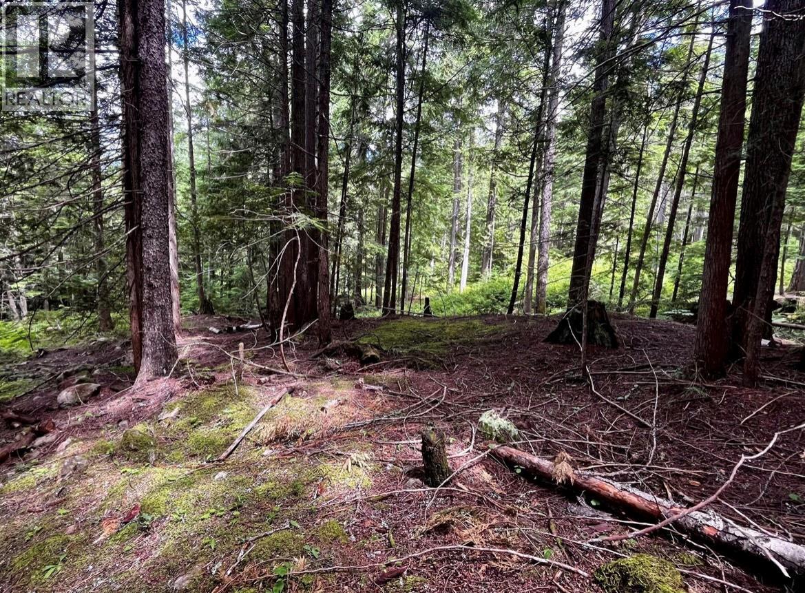 Lot 2 Red Mountain Road, Silverton, British Columbia  V0G 1S0 - Photo 20 - 10383407