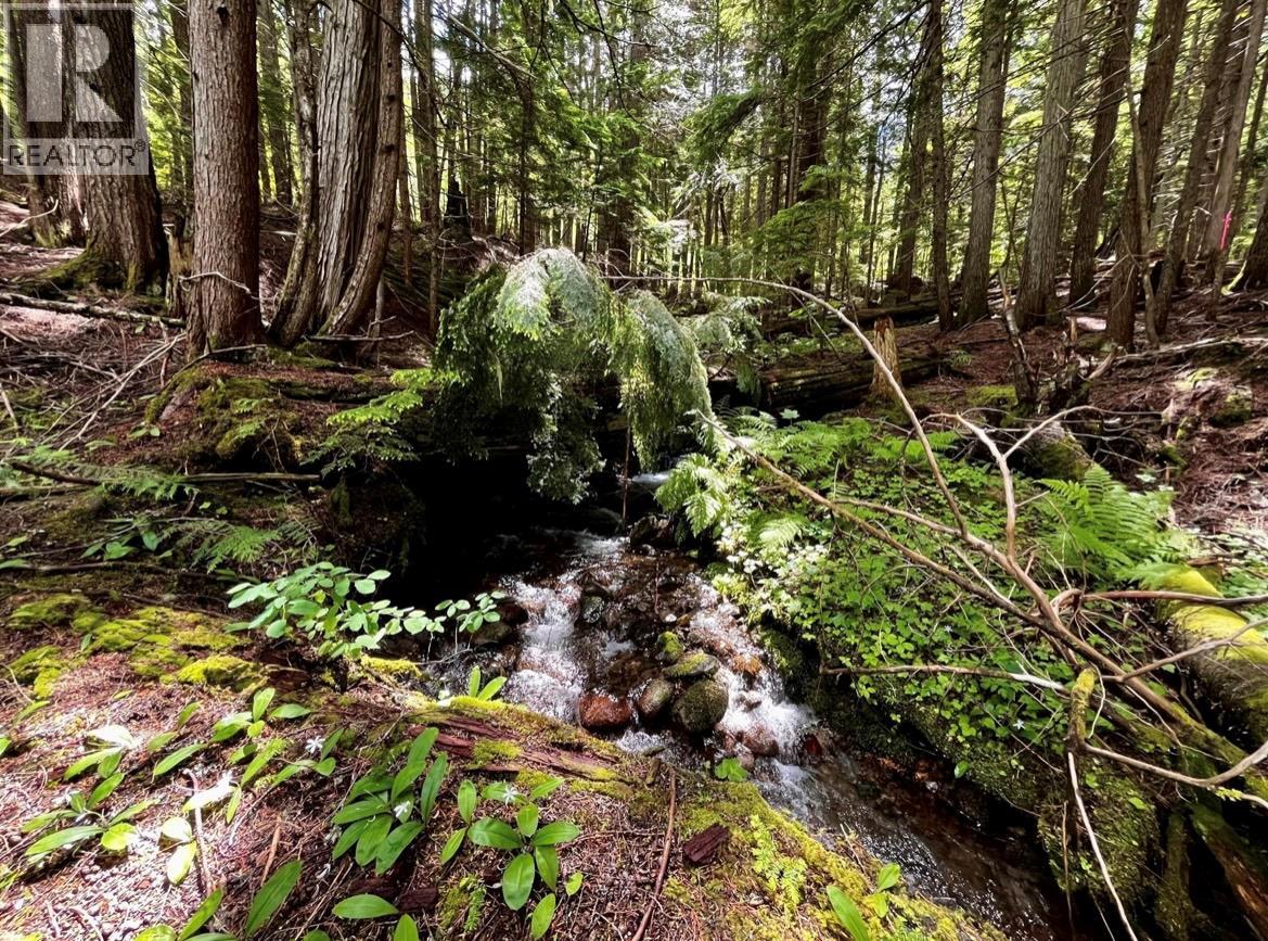 Lot 2 Red Mountain Road, Silverton, British Columbia  V0G 1S0 - Photo 24 - 10383407