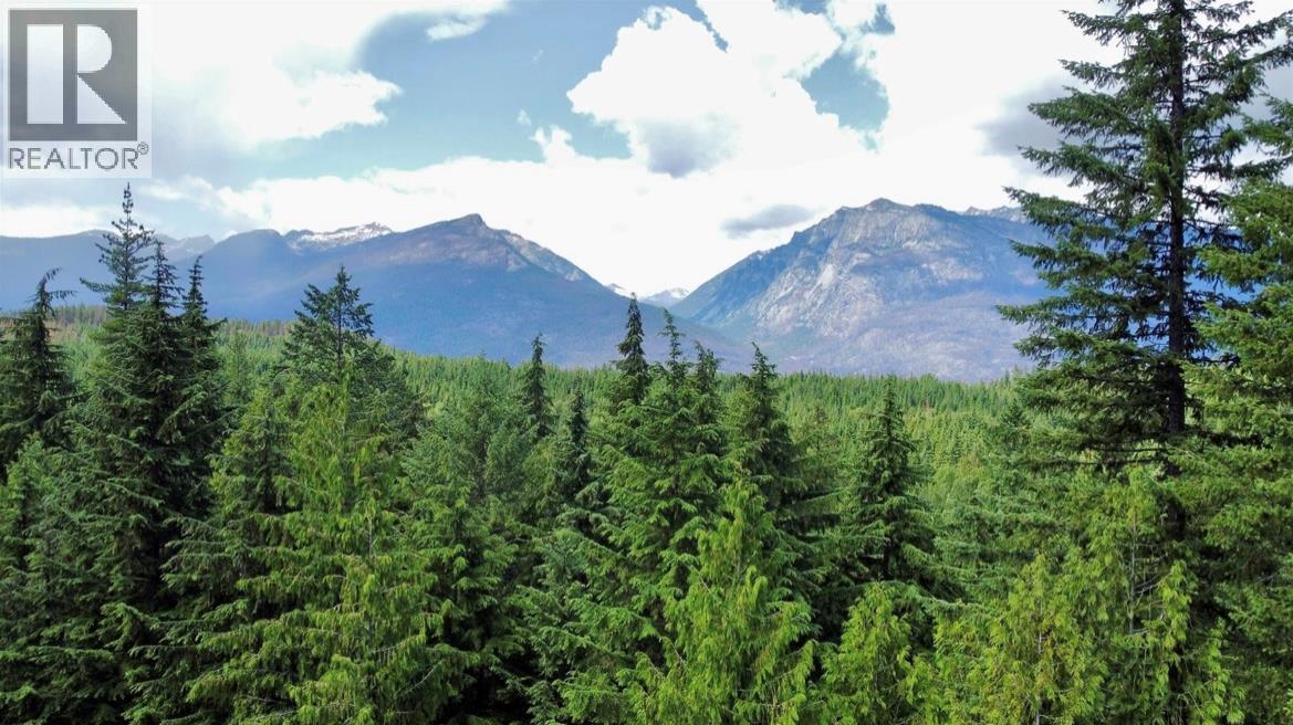 Lot 2 Red Mountain Road, Silverton, British Columbia  V0G 1S0 - Photo 25 - 10383407
