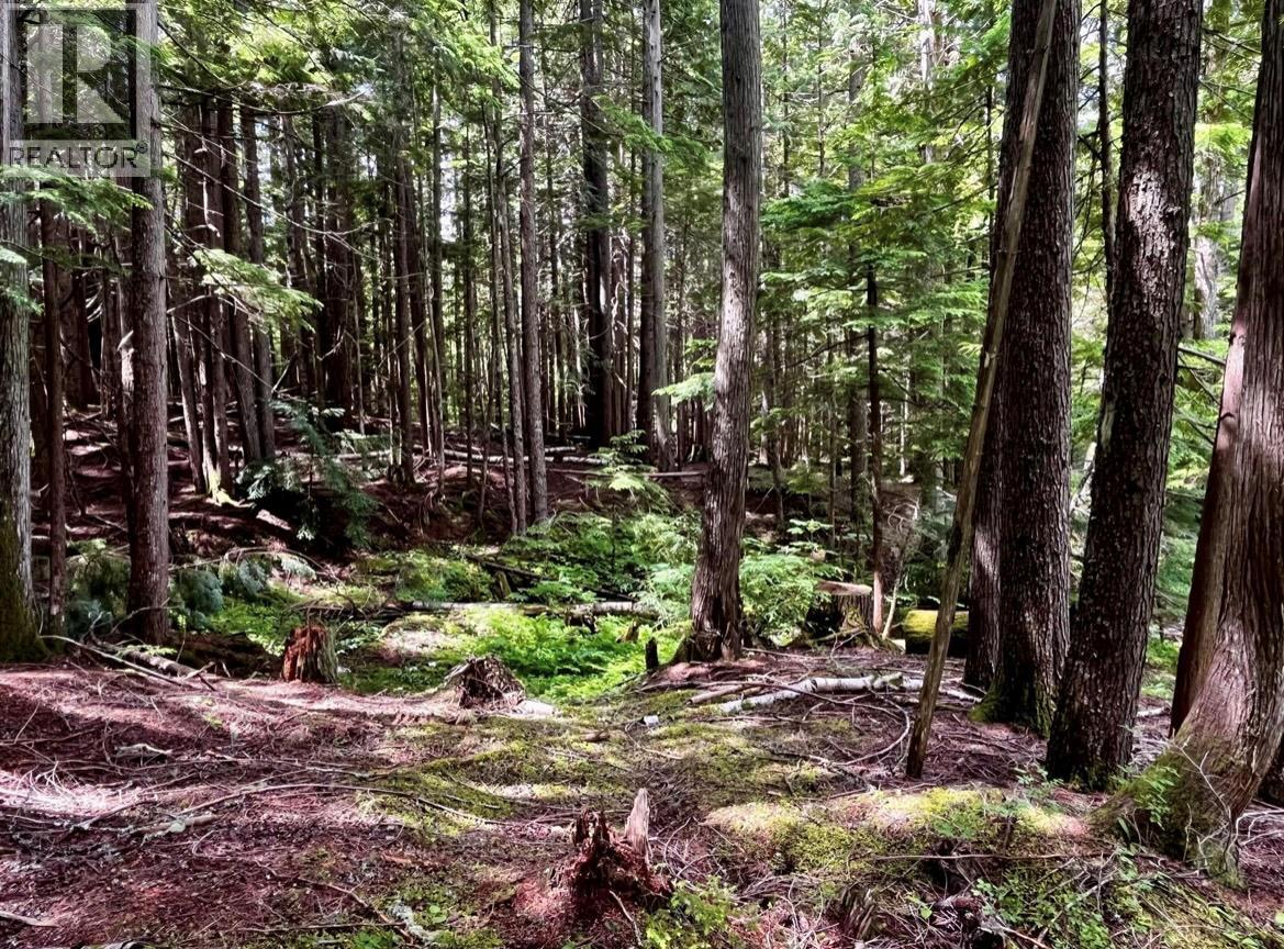 Lot 2 Red Mountain Road, Silverton, British Columbia  V0G 1S0 - Photo 6 - 10383407