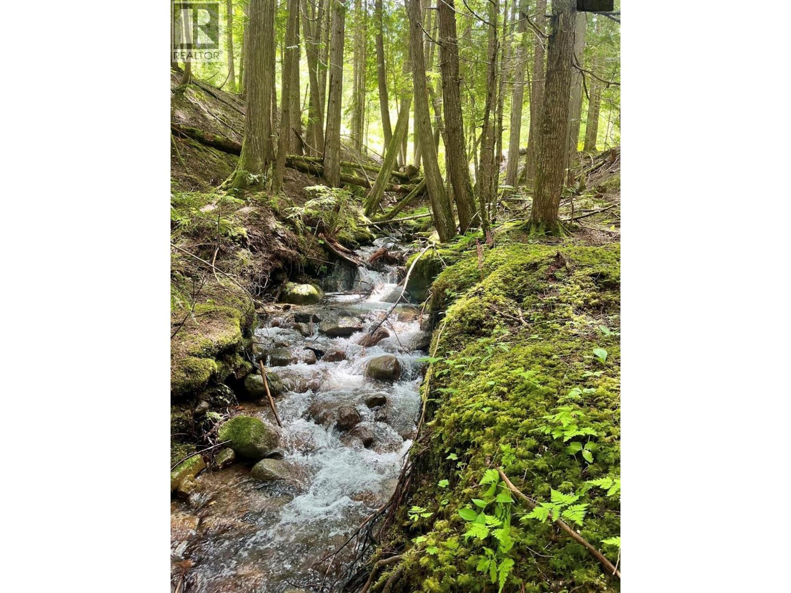 Lot 2 Red Mountain Road, Silverton, British Columbia  V0G 1S0 - Photo 7 - 10383407