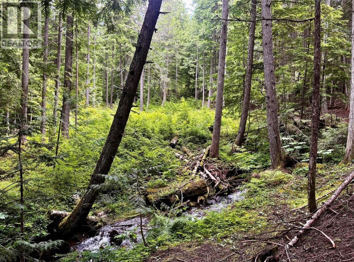 Lot 2 Red Mountain Road, Silverton, British Columbia  V0G 1S0 - Photo 8 - 10383407