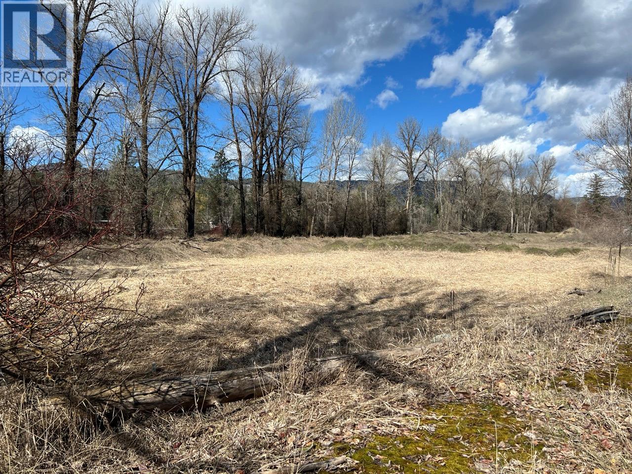 19th Street, Grand Forks, British Columbia  V0H 1H0 - Photo 20 - 10383847