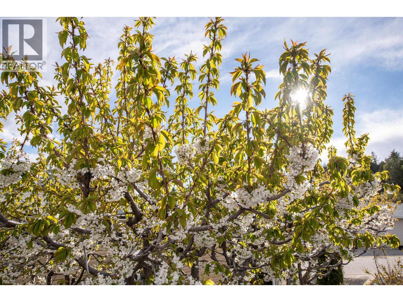 1750 Lenz Road Unit# 40, West Kelowna, British Columbia  V1Z 3N1 - Photo 9 - 10383394