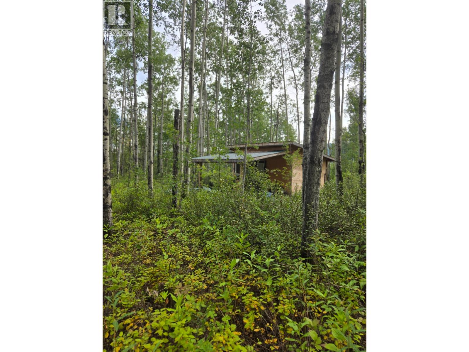 5334 Kurjata Drive, Chetwynd, British Columbia  V0C 1J0 - Photo 96 - 10383892
