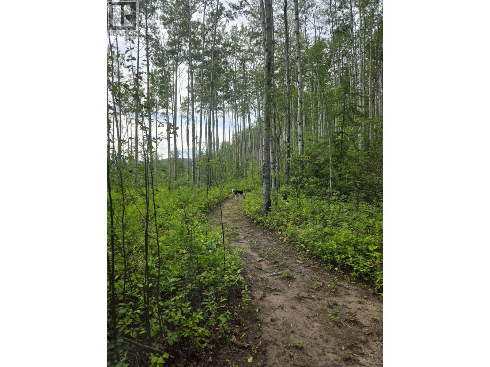 5334 Kurjata Drive, Chetwynd, British Columbia  V0C 1J0 - Photo 98 - 10383892