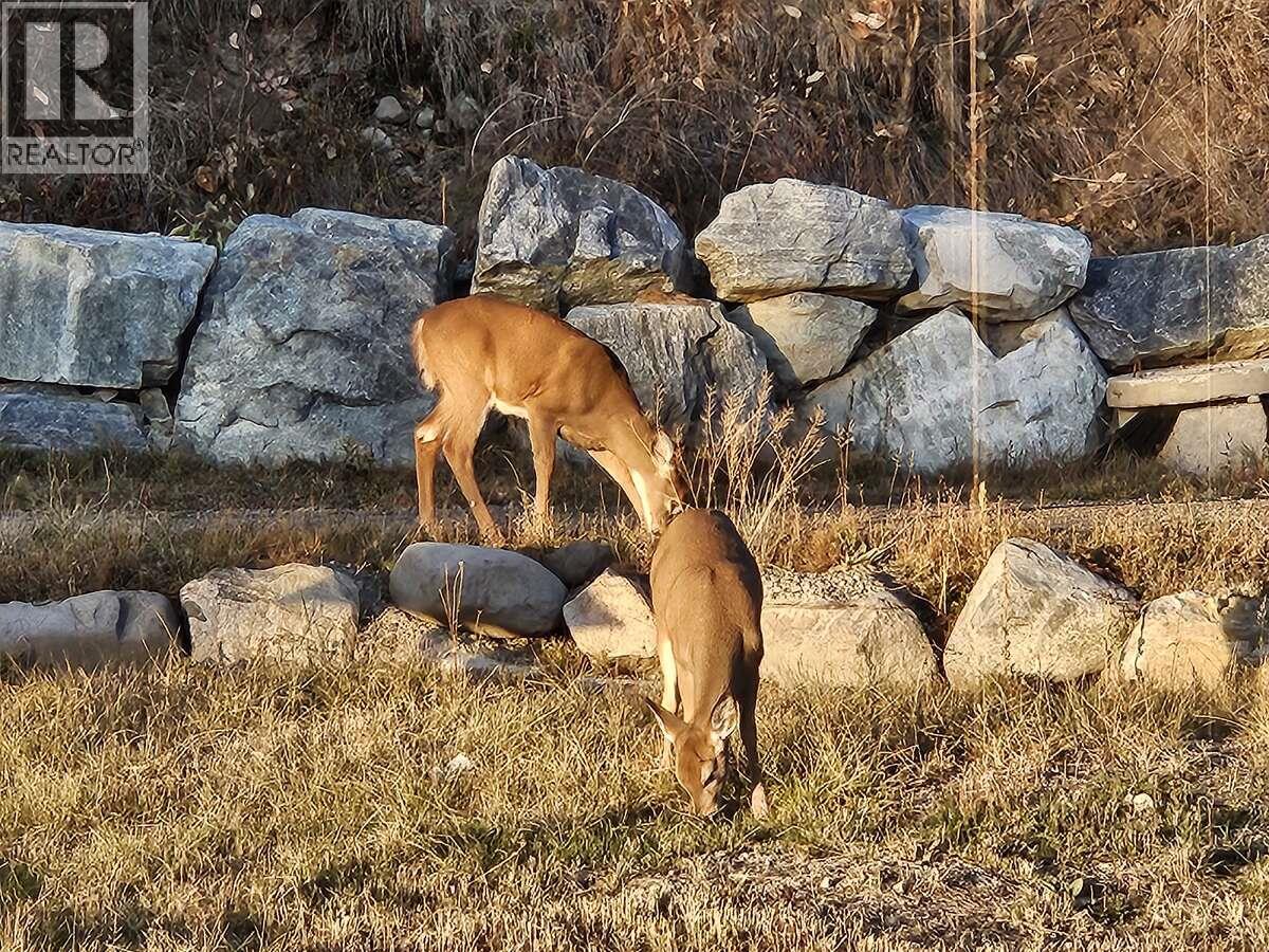 7080 Sun Valley Road, Kelowna, British Columbia  V1P 1H4 - Photo 47 - 10383853