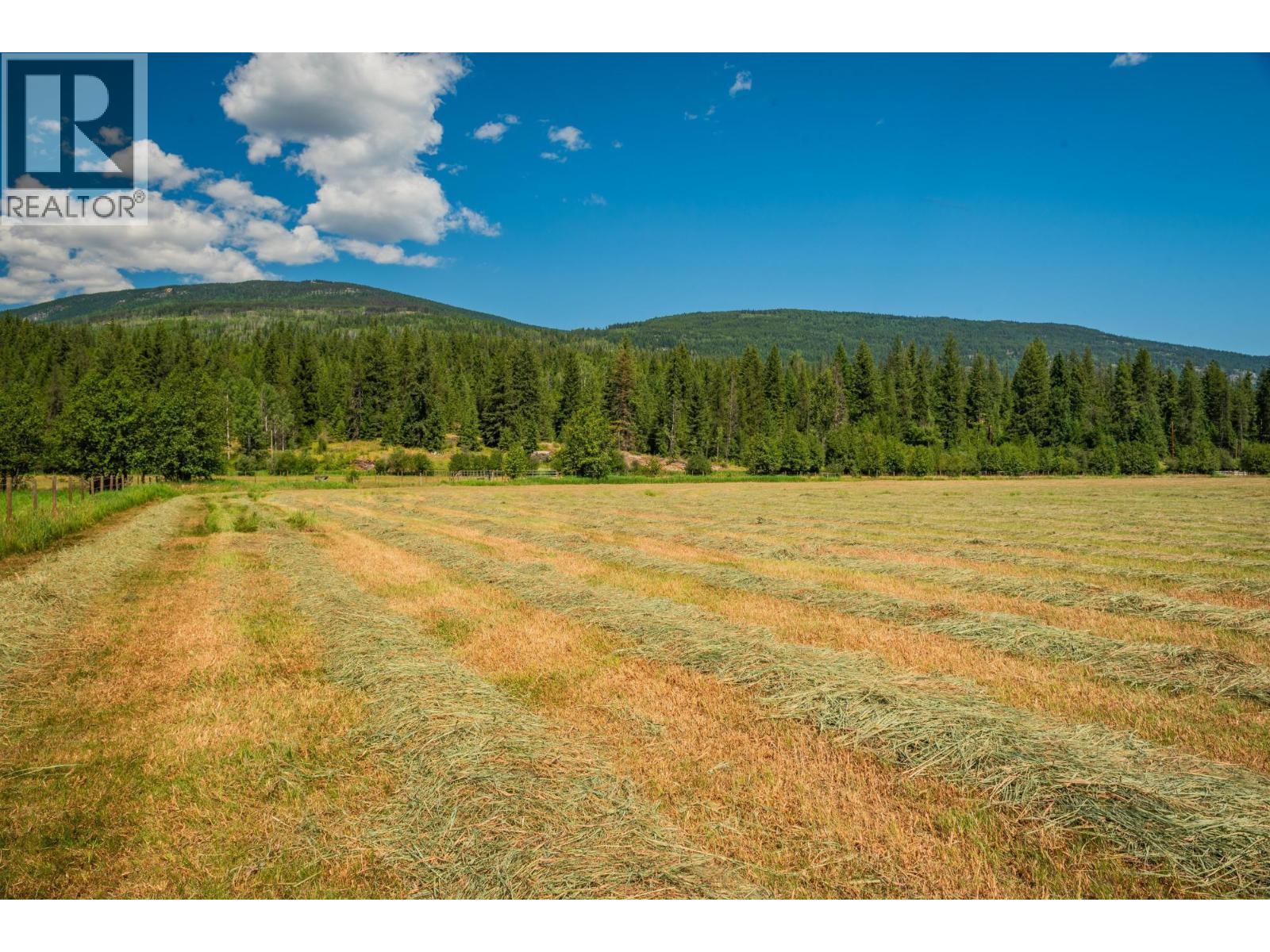 2335 Pass Creek Road, Castlegar, British Columbia  v1n 4t4 - Photo 82 - 10383434