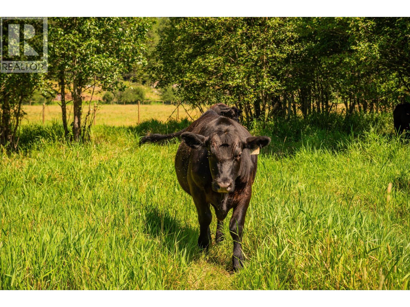 2335 Pass Creek Road, Castlegar, British Columbia  v1n 4t4 - Photo 84 - 10383434