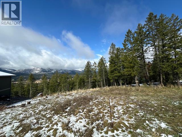 4785 Mountain View Road, Fairmont Hot Springs, British Columbia  V0B 1L1 - Photo 1 - 10383936