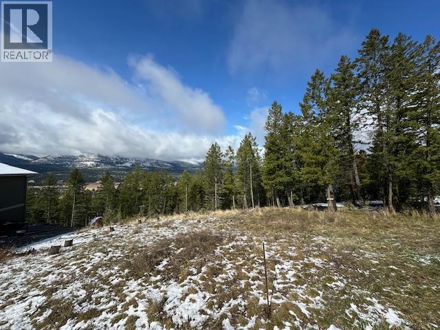 4785 Mountain View Road, Fairmont Hot Springs, British Columbia  V0B 1L1 - Photo 2 - 10383936