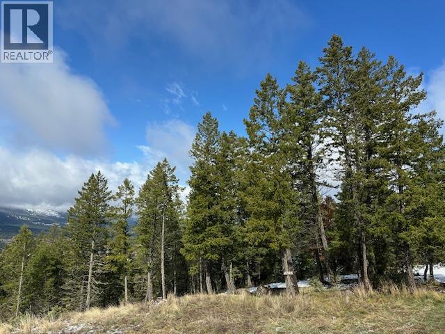 4785 Mountain View Road, Fairmont Hot Springs, British Columbia  V0B 1L1 - Photo 3 - 10383936