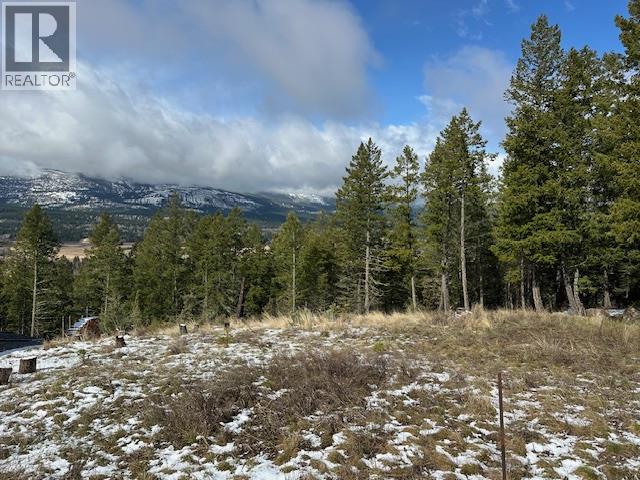 4785 Mountain View Road, Fairmont Hot Springs, British Columbia  V0B 1L1 - Photo 4 - 10383936