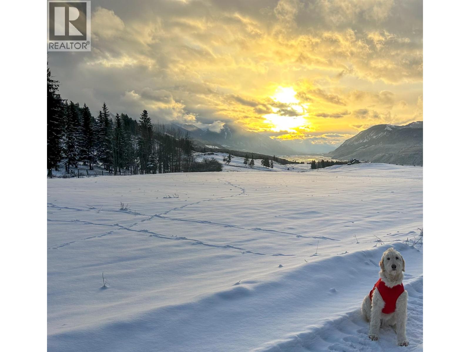 4360 Adair Road, Parson, British Columbia  V0A 1L0 - Photo 17 - 10383152