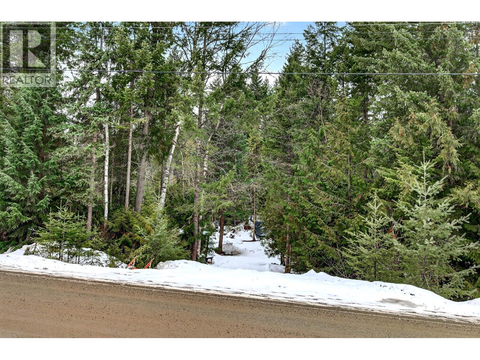 173 Ogden Road, Clearwater, British Columbia  V0E 1N2 - Photo 2 - 10383806