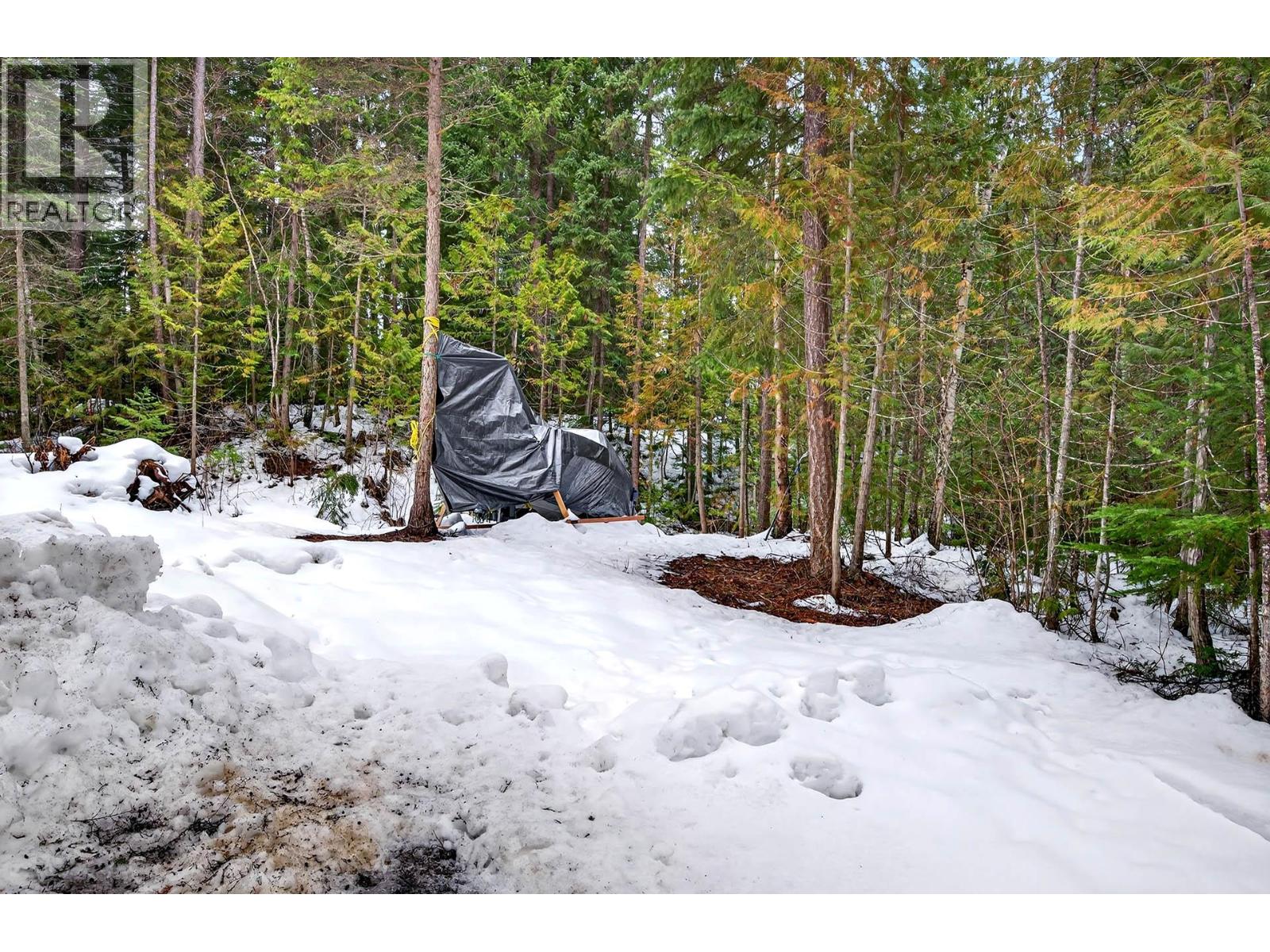 173 Ogden Road, Clearwater, British Columbia  V0E 1N2 - Photo 3 - 10383806