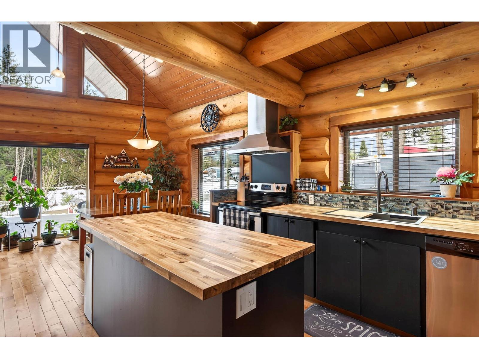 165 Ogden Road, Clearwater, British Columbia  V0E 1N2 - Photo 6 - 10383802