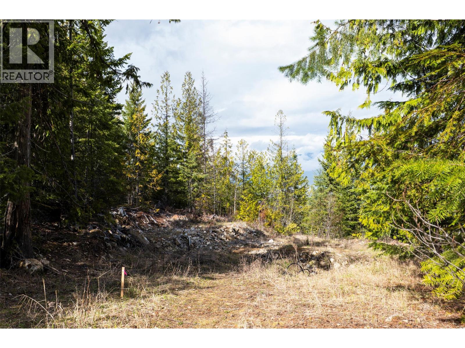 400 Lexington Avenue, Procter, British Columbia  V0G 1V0 - Photo 10 - 10383905