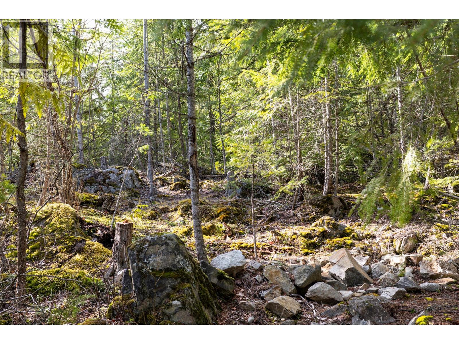 400 Lexington Avenue, Procter, British Columbia  V0G 1V0 - Photo 11 - 10383905