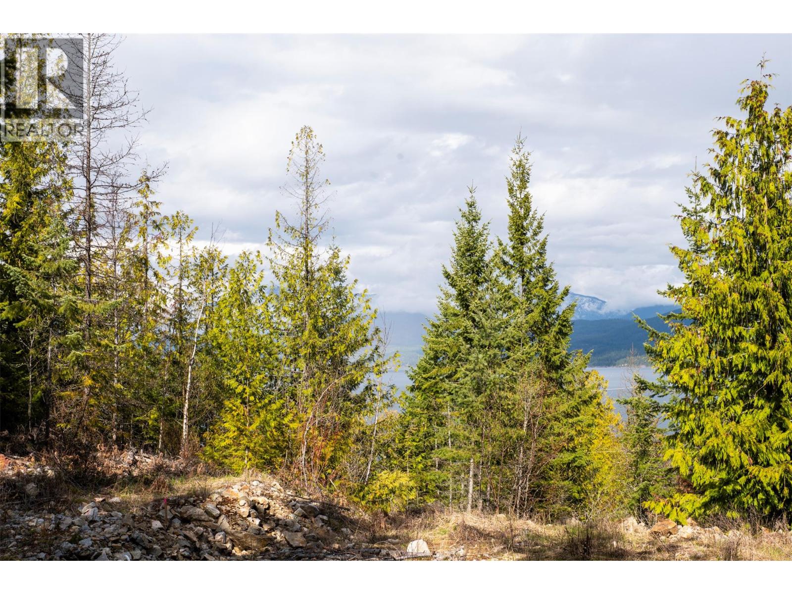 400 Lexington Avenue, Procter, British Columbia  V0G 1V0 - Photo 12 - 10383905