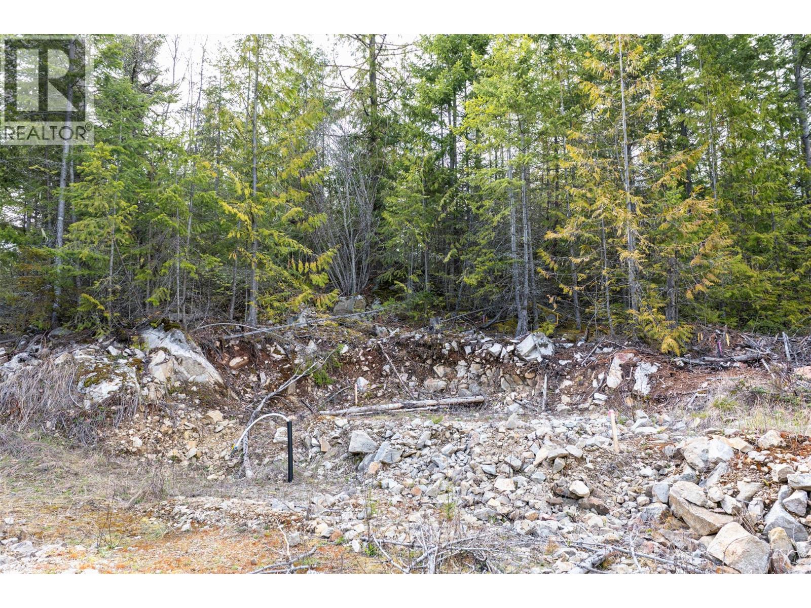 400 Lexington Avenue, Procter, British Columbia  V0G 1V0 - Photo 13 - 10383905