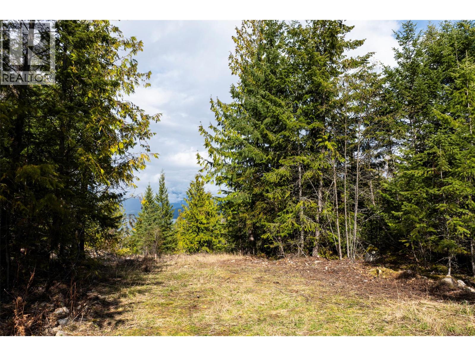 400 Lexington Avenue, Procter, British Columbia  V0G 1V0 - Photo 7 - 10383905